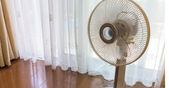 夏の暑さ
