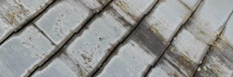 屋根 コケ 雨筋