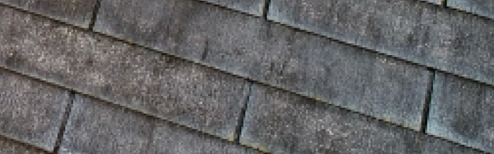 屋根コケ2